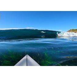 숏보드 1인칭 영상 Surfing With Noz - GLASSY REEF